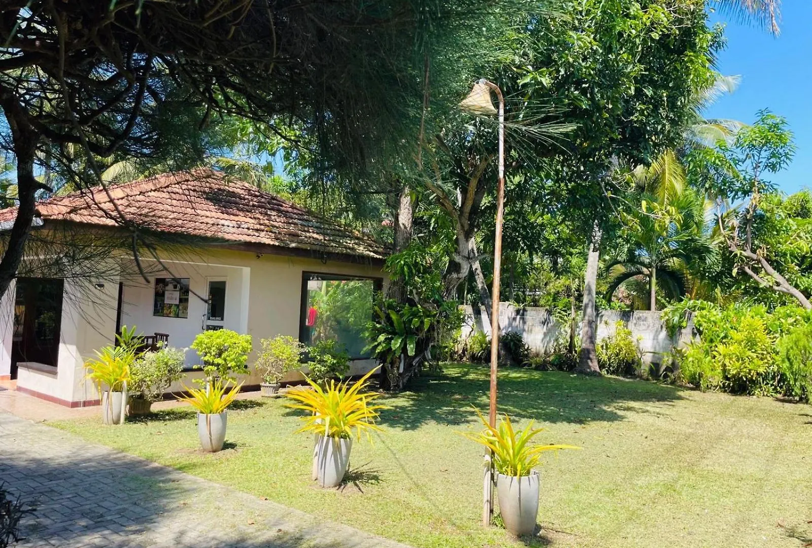 The Beez Hotell Negombo Pensionat
