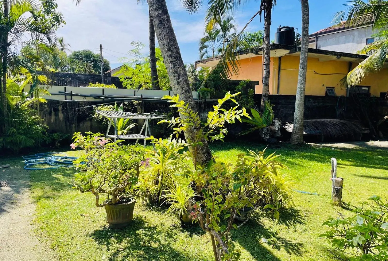 Gæstehus The Beez Hotel Negombo